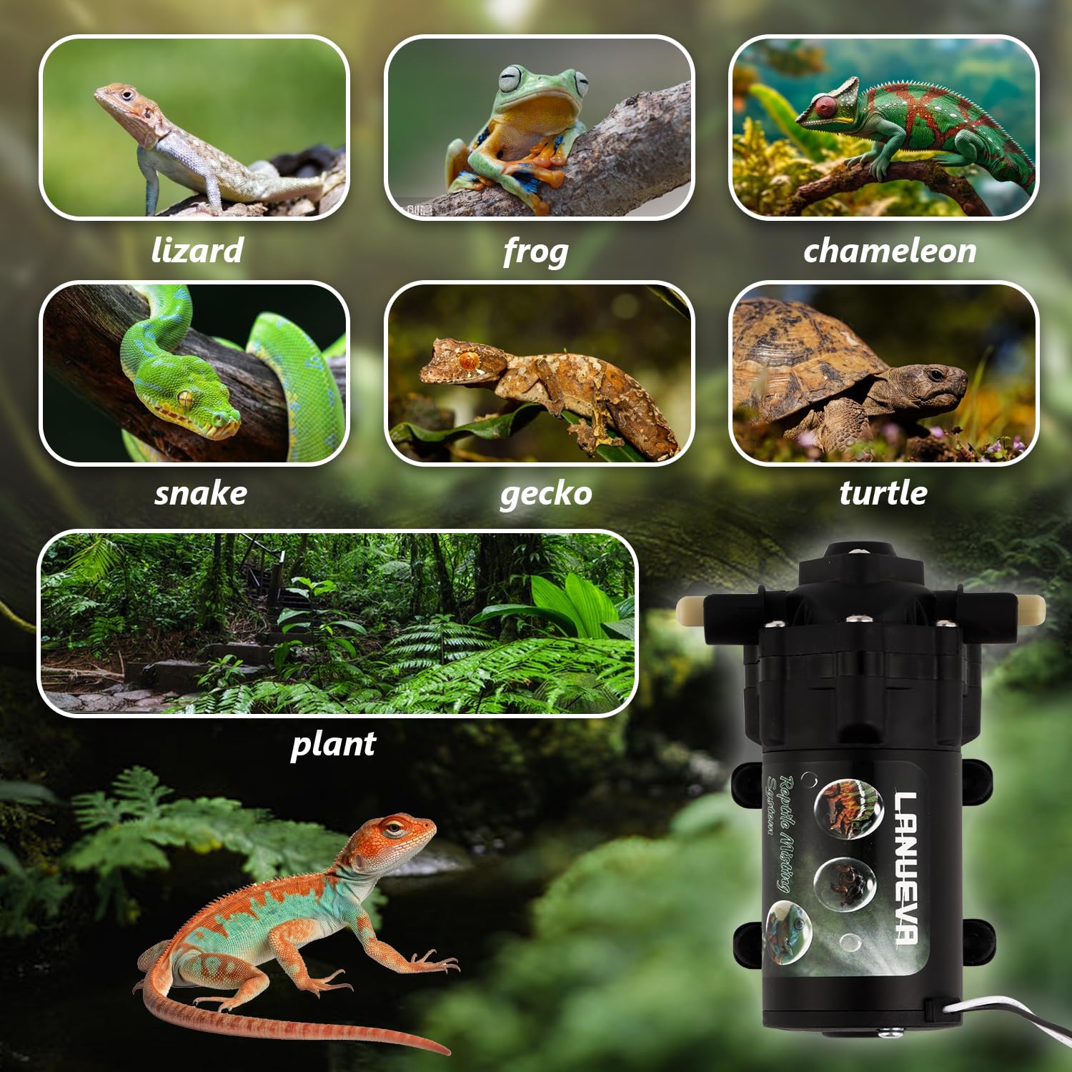 LANUEVA Reptile Humidifier - Quiet Terrarium Fogger with 6 Misting Nozzles (4 Single + 2 Double) | Automatic Spray System for Chameleons, Lizards, Snakes & Frogs | Perfect for Reptile Tanks, Vivariums & Pet Habitats (Pump without Timer)