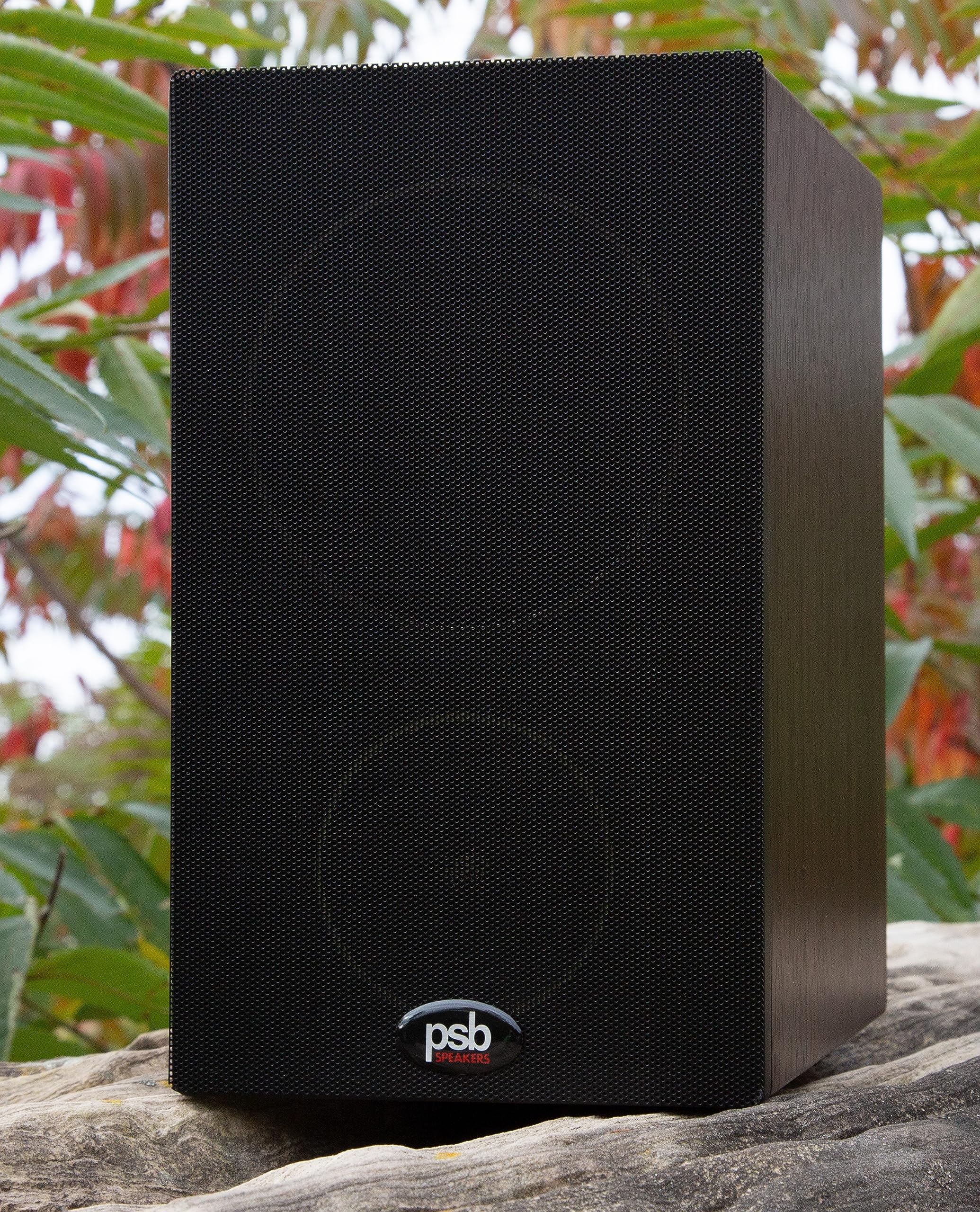 PSB Speakers Alpha P3 Passive Compact Bookshelf Speakers - High-Quality Audio for Home Theater, Studio, and Office (Black Ash, Pair)