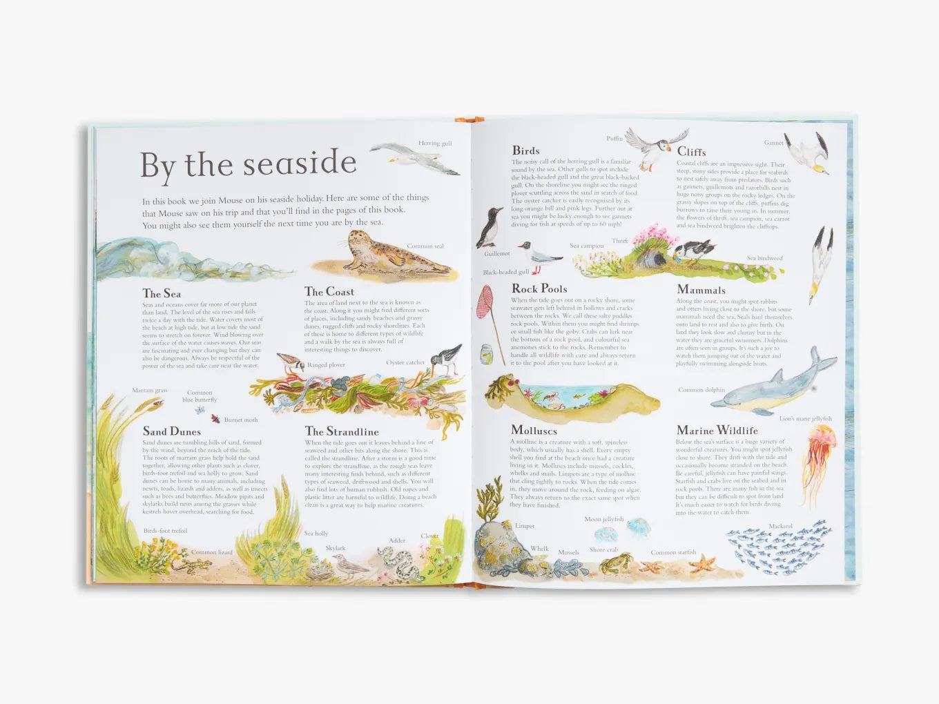 Mouse by the Sea - Children's Picture Book from Mouse’s Wood Series | Perfect for Bedtime Stories & Early Reading | Great Gift for Kids Ages 3-7