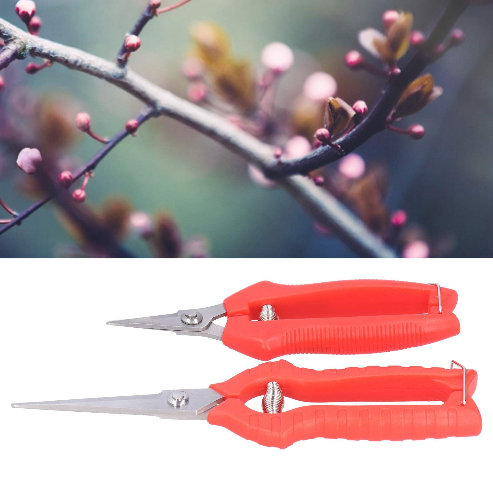 Premium Garden Shears & Hedge Trimmers - Sharp Bonsai Clippers for Pruning, Trimming & Shaping - Perfect for Gardening, Landscaping & Bonsai Tree Care