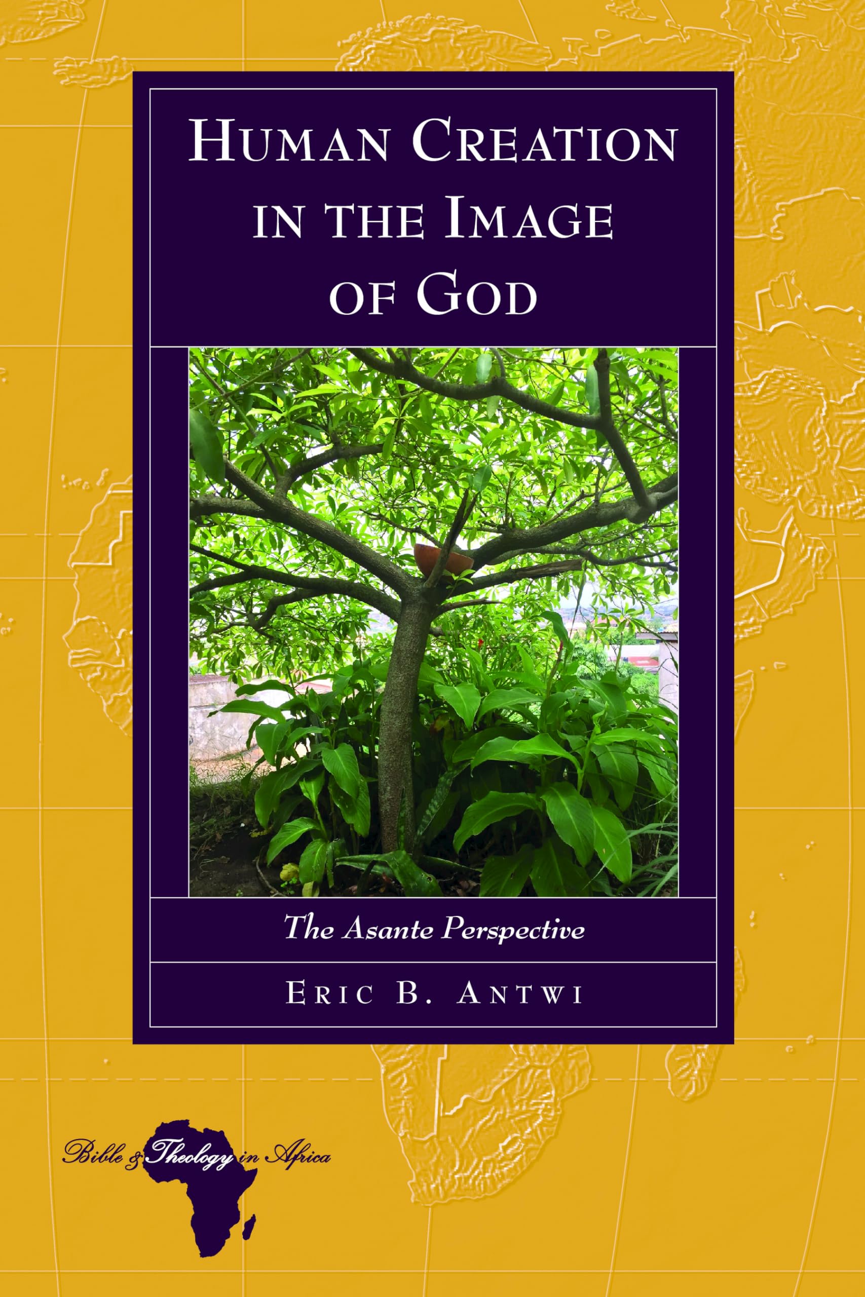 Human Creation in the Image of God - Bible and Theology in Africa Book | Christian Theology Study, African Biblical Interpretation | For Seminary Students & Theology Researchers