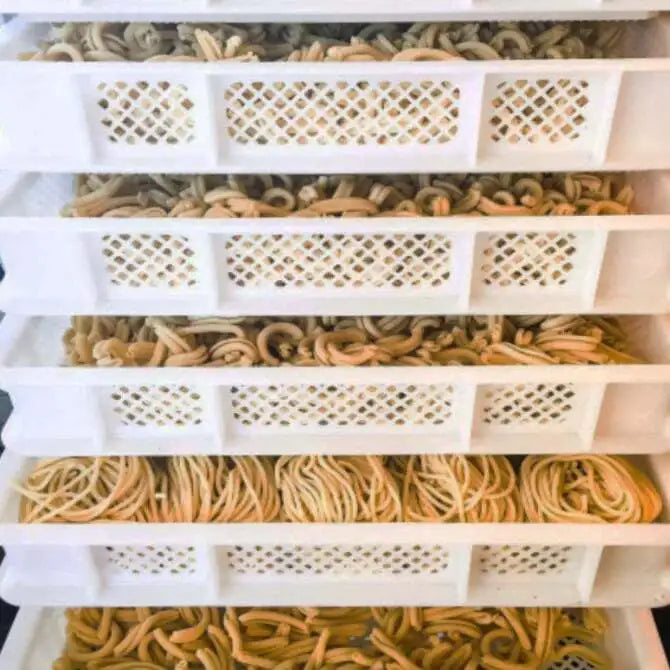 Arcobaleno 20-Tier Mobile Pasta Drying Rack - Stainless Steel Rolling Cart for Pasta, Herbs & Food Dehydration - Perfect for Commercial Kitchens & Home Chefs