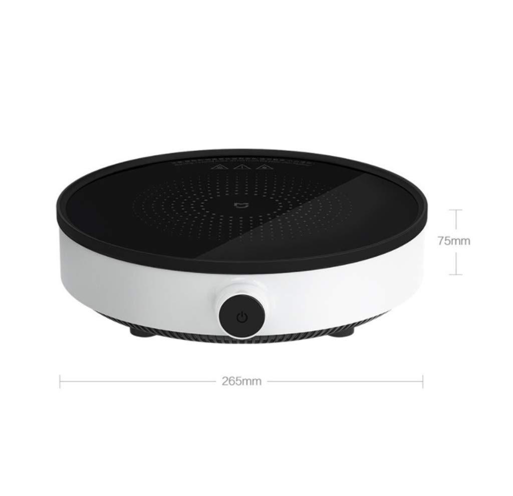 2100W Portable Induction Cooktop with 9 Power Levels - One-Touch Control, Stainless Steel Pot Compatible, Perfect for Camping, Dorm Cooking & Small Kitchen Spaces