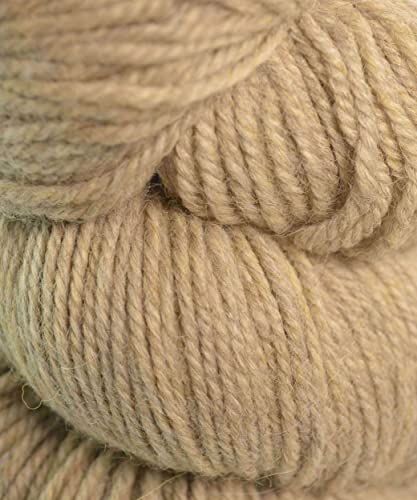 Barley (# 62189)