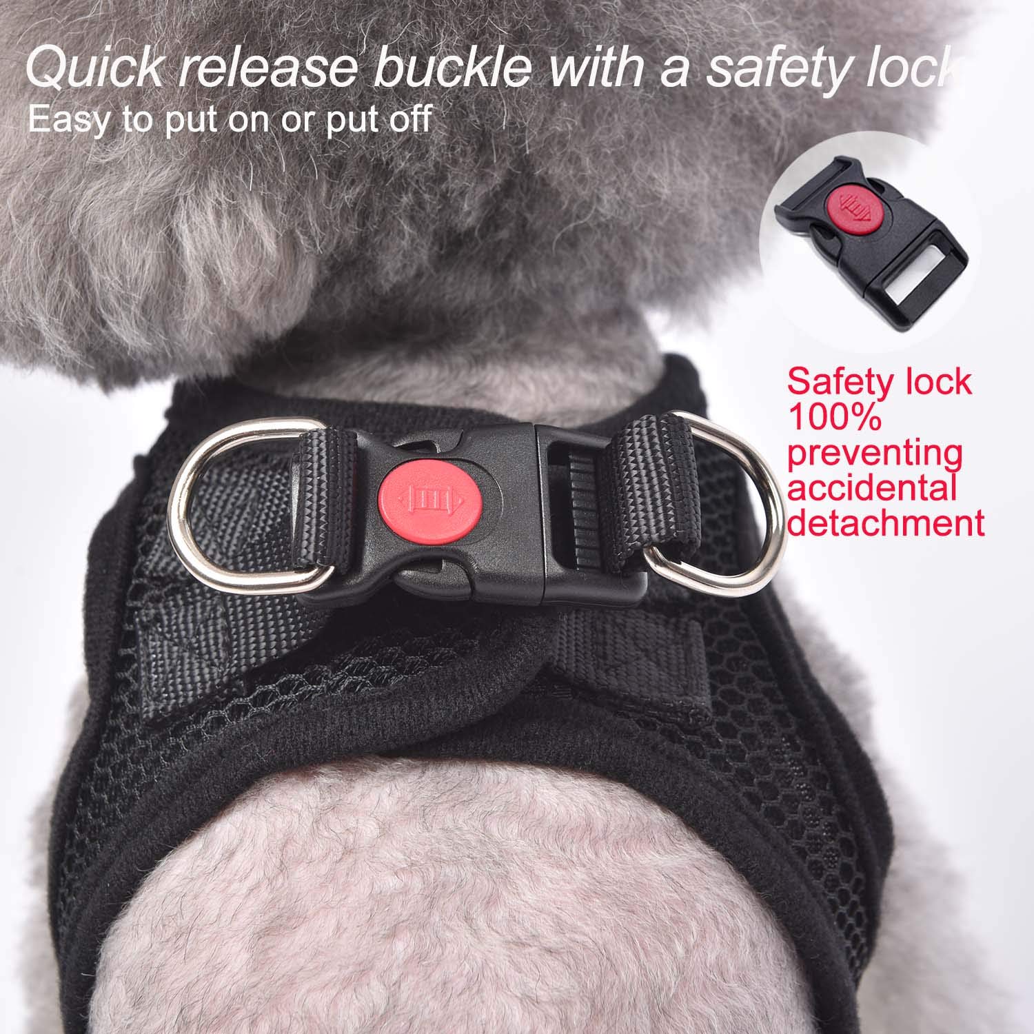 Step-in Breathable Dog Harness for Small & Medium Dogs - Lightweight Puppy Cat Vest Harness in Black | Perfect for Walking, Training & Outdoor Adventures