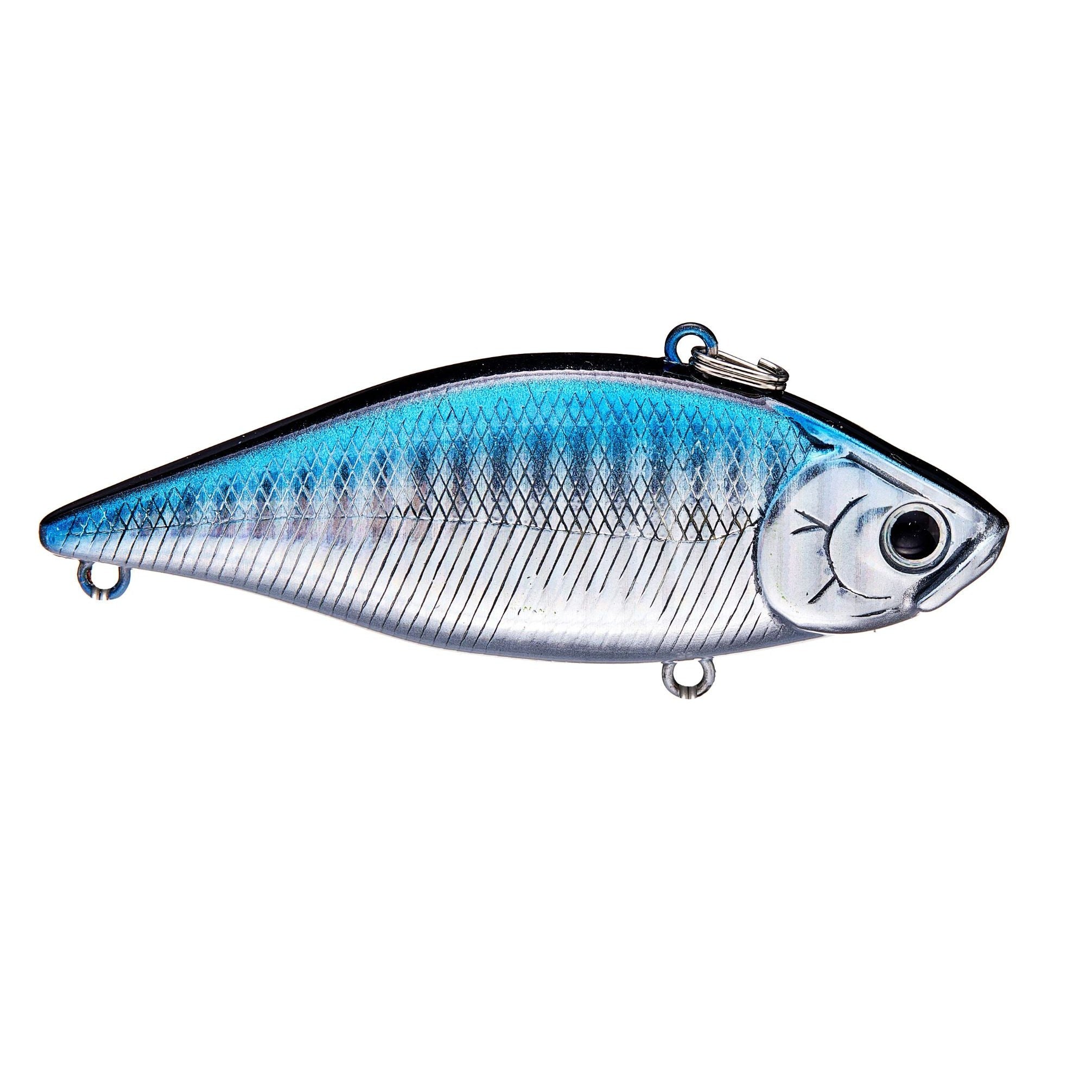 BE Gill