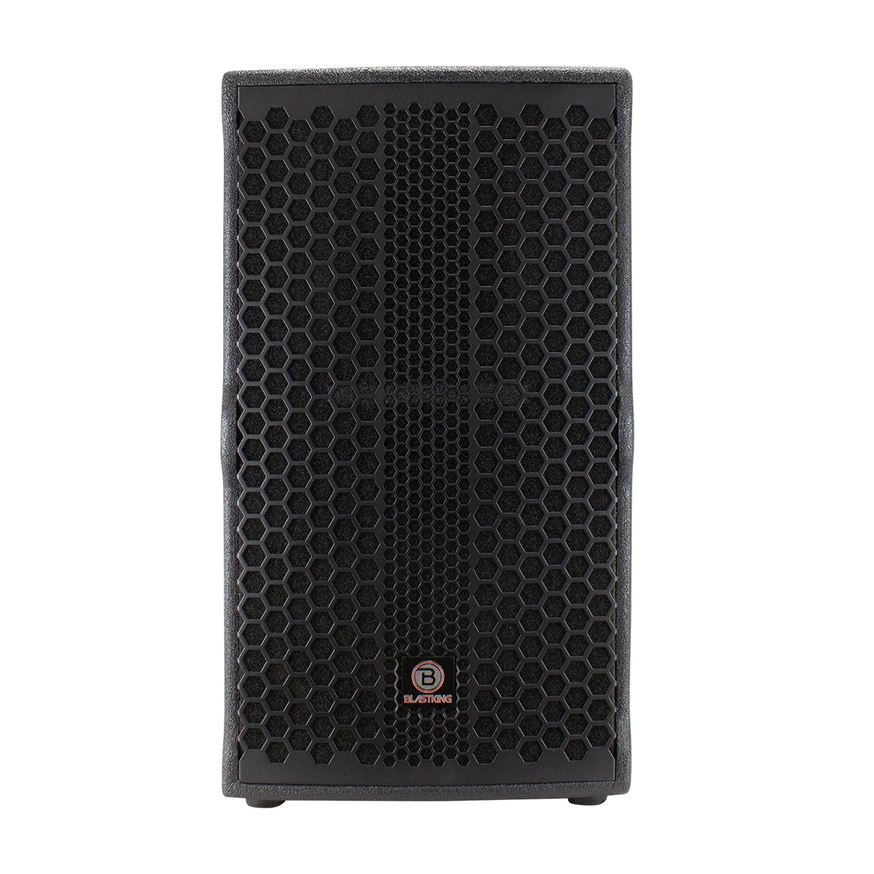 Blastking NOVO 12 12-Inch 2-Way Passive Loudspeaker - 1200W High Power PA Speaker for Live Music, DJ Performances & Outdoor Events