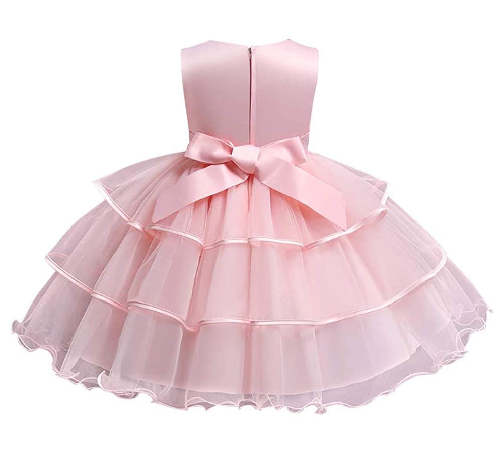 MYRISAM Flower Girls Embroidered Lace Tutu Dress - Princess Wedding Pageant Birthday Party Evening Dance Short Tulle Gown for Kids Toddler Bridesmaid Photo Shoot