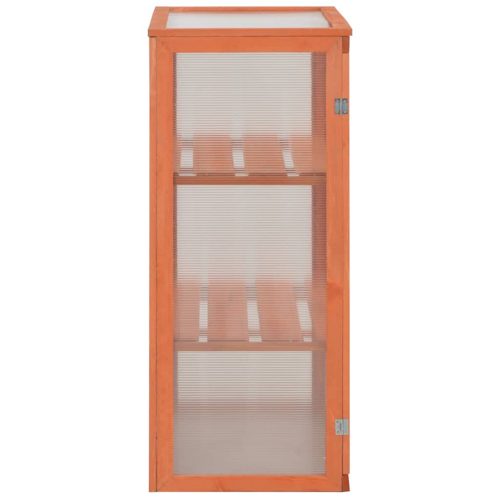 **Outdoor Wooden Greenhouse for Plants - 2 Shelves & 2 Patio Doors - 29.5
