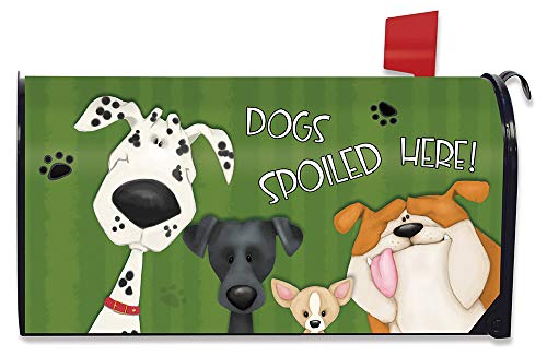 06 - Spoiled Dogs