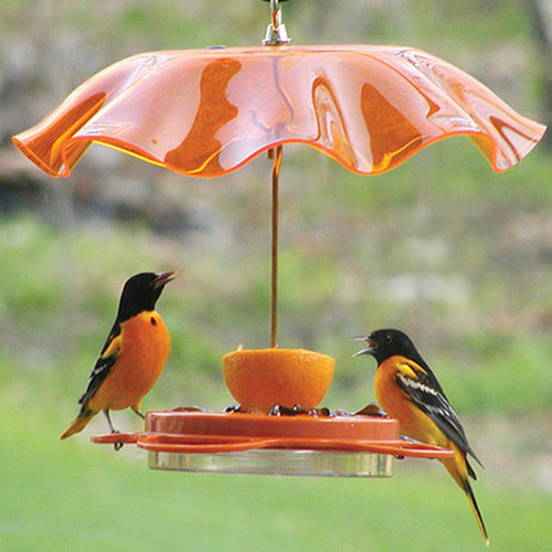 Orange Swirl Weather Guard - Waterproof & UV Resistant Outdoor Protection Cover for Patio Furniture, Grills, and More - Perfect for Backyard, Garden, and Poolside Use