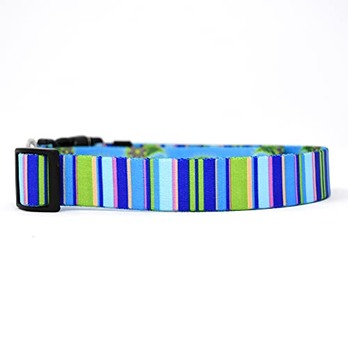 Blue Stripes