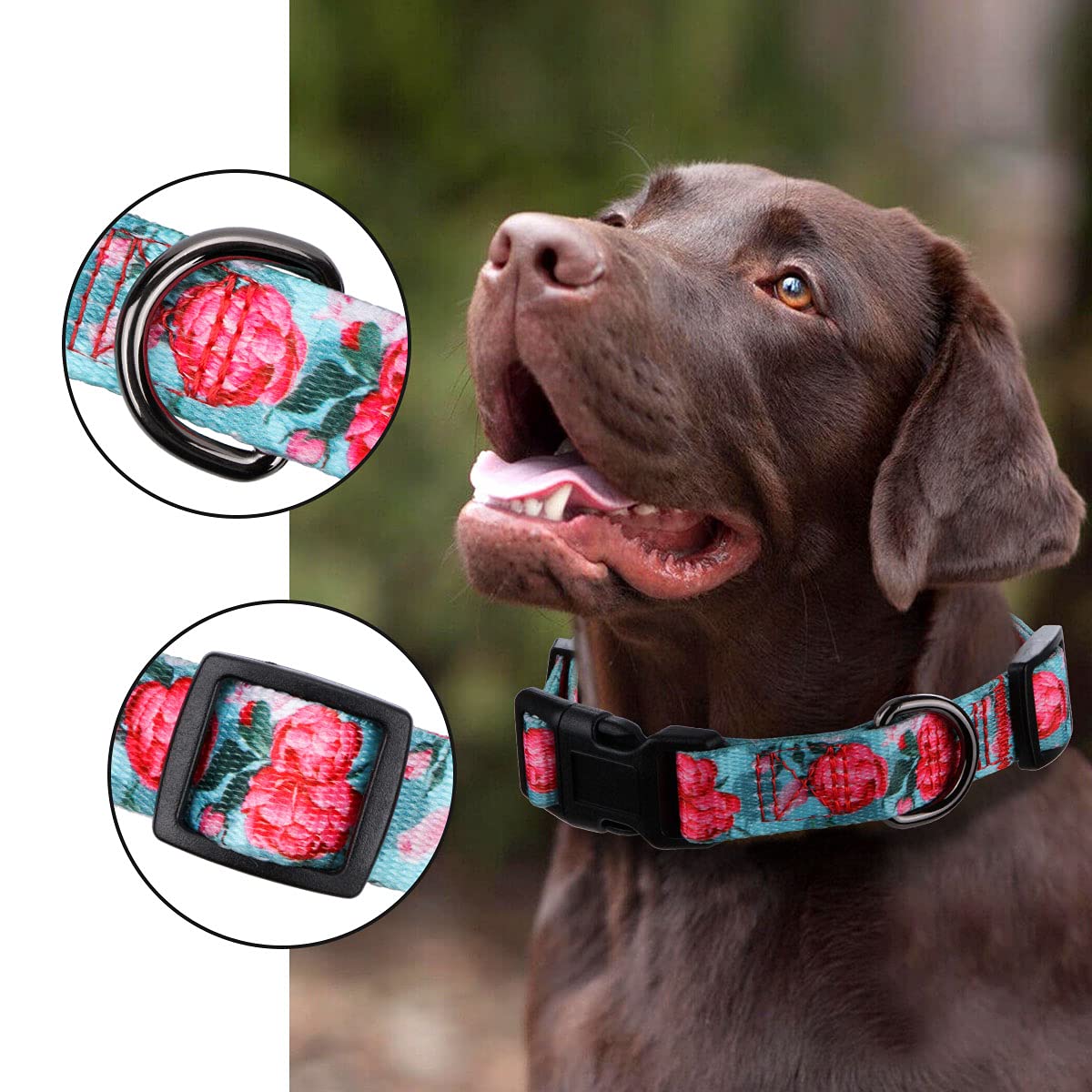 Rhea Rose Floral Print Dog Collar for Small Female Dogs - Summer Flower Design in Turquoise Blue | Perfect for Outdoor Walks, Pet Photos & Special Occasions