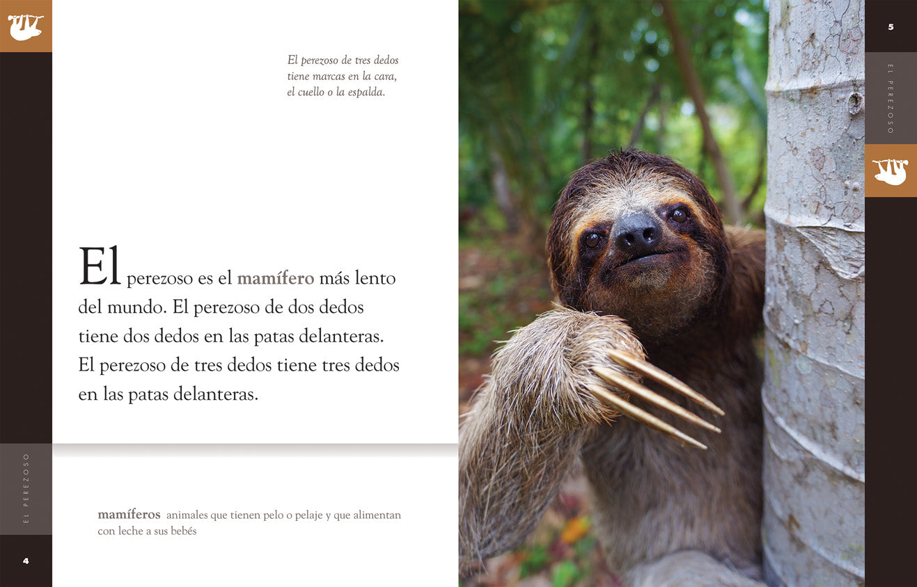 El Perezoso 9781608189397 - Bilingual Children's Book About Sloths - Perfect for Storytime, Classroom Learning & Gifts