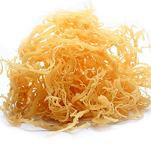 100% Natural Jamaican Irish Sea Moss (16oz) - Organic, Wildcrafted, Non-GMO, No Preservatives - Supports Skin Health & Immune System Boost - Perfect for Smoothies, Teas & Wellness Routines