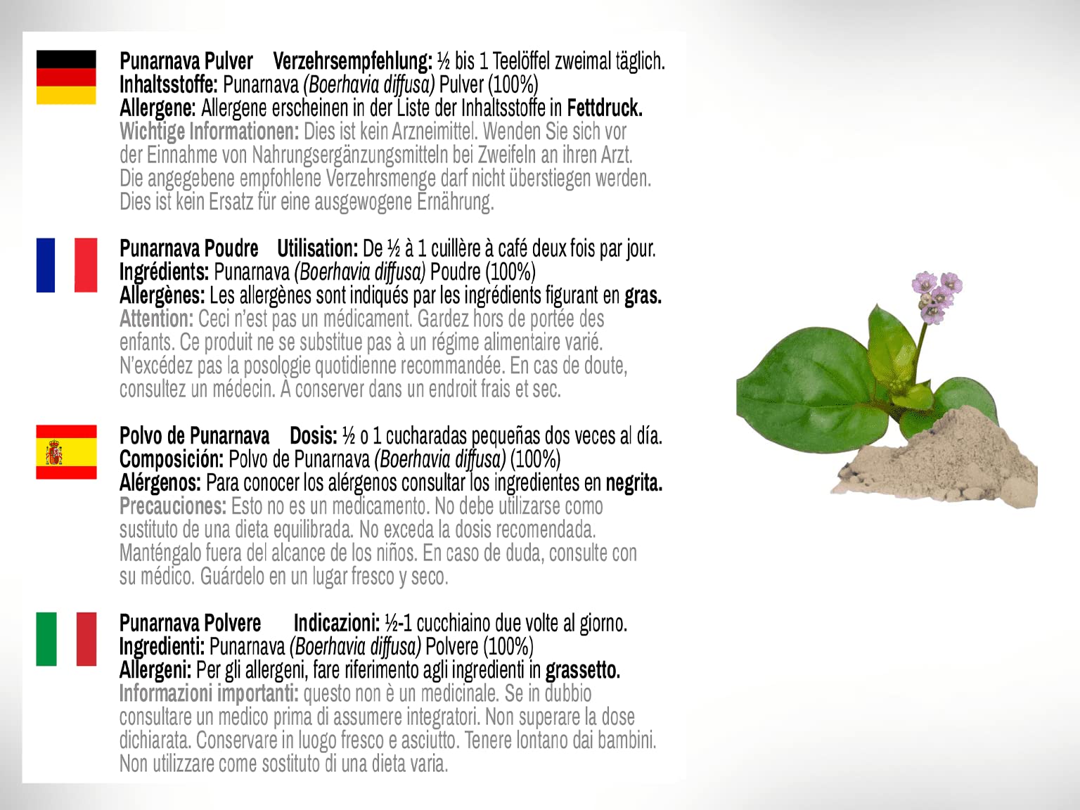 DR WAKDE'S Punarnava Powder (Boerhavia diffusa) - 1Kg (2.2lb) | 100% Pure, Raw & Dried Ayurvedic Herb | Natural Aroma, Freshness & Fine Texture | Vegan, Premium Grade | No Additives or Fillers | Supports Digestion & Detox | Perfect for Herbal Teas, Smoothies & Wellness Routines