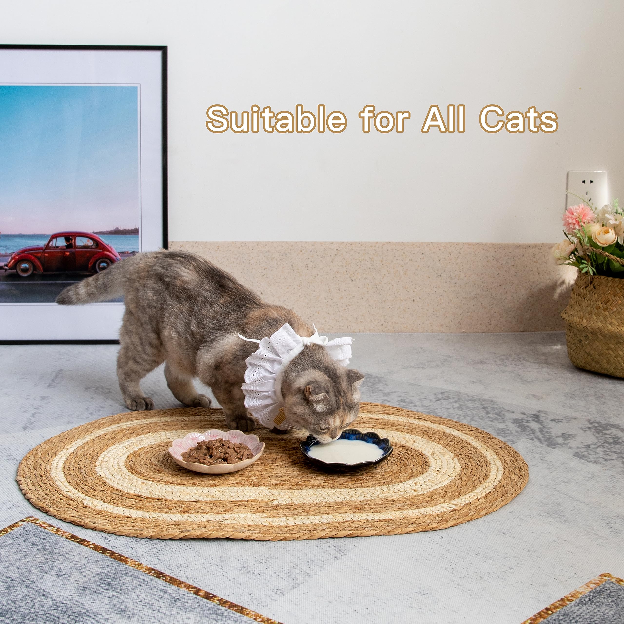 4-Pack Ceramic Cat Bowls for Wet Food - 5.5 Inch Whisker-Friendly Shallow Dishes, Microwave & Dishwasher Safe - Perfect for Kittens, Adult Cats & Multi-Pet Homes