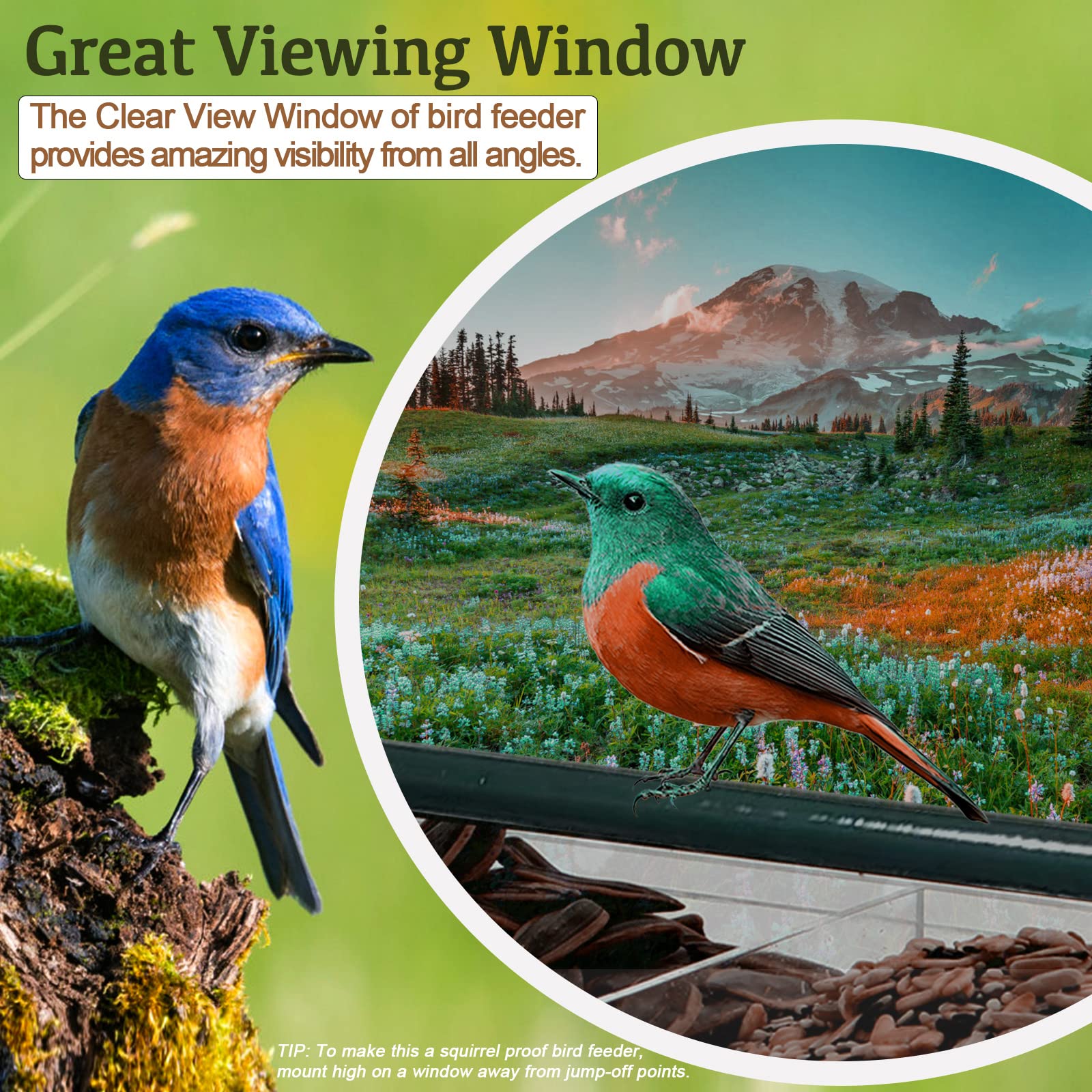 Clear Acrylic Window Bird Feeder with 4 Strong Suction Cups - Removable Drain Hole Tray, Easy to Install & Clean - Perfect for Backyard Bird Watching & Nature Lovers