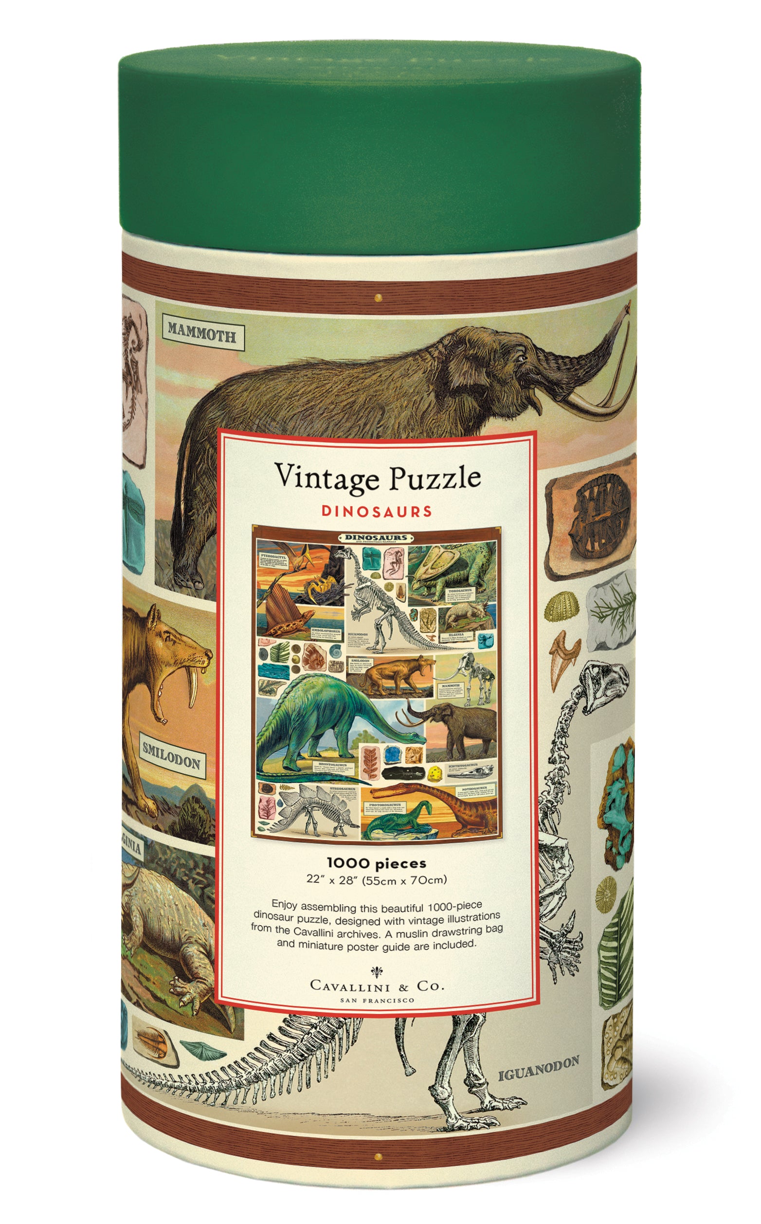 Dinosaurs Puzzle for Kids - 100 Piece Jigsaw Puzzle with Dinosaur Theme - Fun Educational Toy for Children's Learning & Playtime