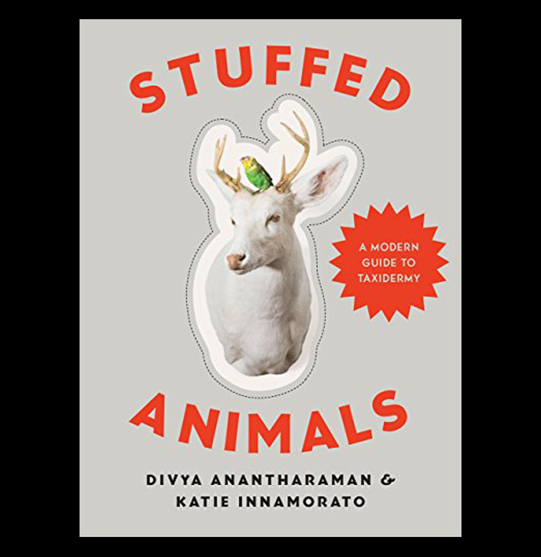 Stuffed Animals & Taxidermy Guide - Modern Techniques for Preserving Wildlife | Perfect for Home Decor, Hunting Trophies & Educational Displays