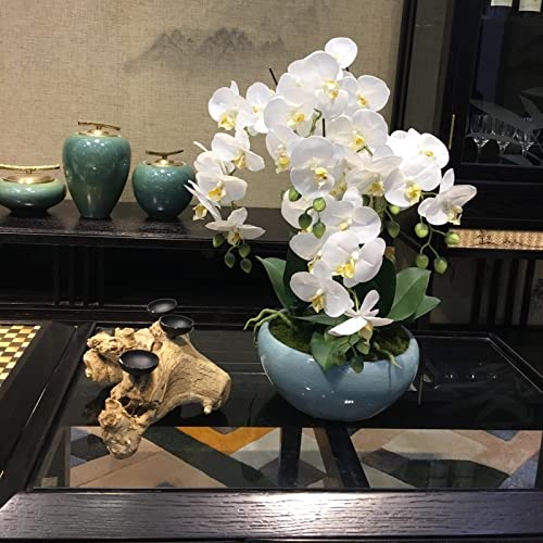 White Artificial Orchid Flowers in Blue Ceramic Vase - Phalaenopsis Fake Flower Arrangement for Home & Office Decor - Perfect for Wedding Centerpieces, Table Decorations & Living Room Accents