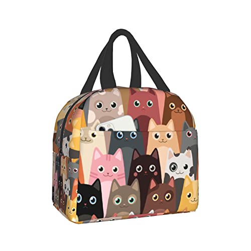 Cute Cats