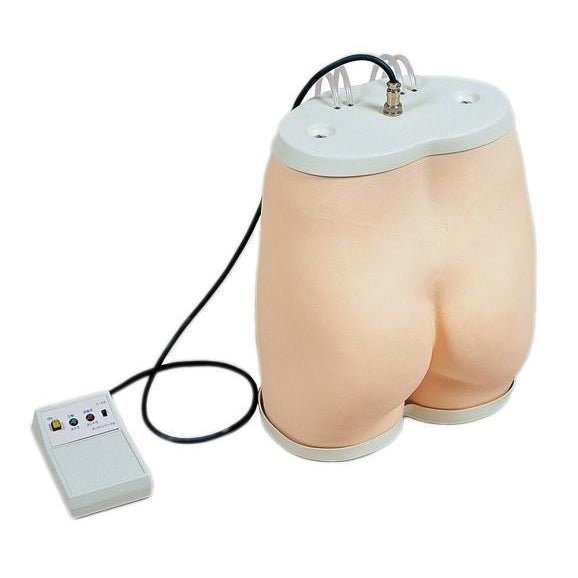 Gluteus Maximus Injection Simulator - Medical Training Model for Intramuscular Shot Practice - Perfect for Nursing Students, Healthcare Professionals & Clinical Skill Development