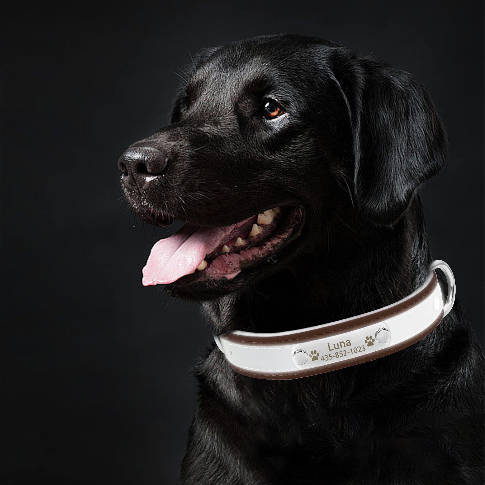 Custom Engraved Reflective Dog Collar & Leash Set with Name Plate - Personalized Leather Pet Collar for Small Medium Large Dogs & Cats | Perfect for Night Walks, Outdoor Adventures & Pet Safety