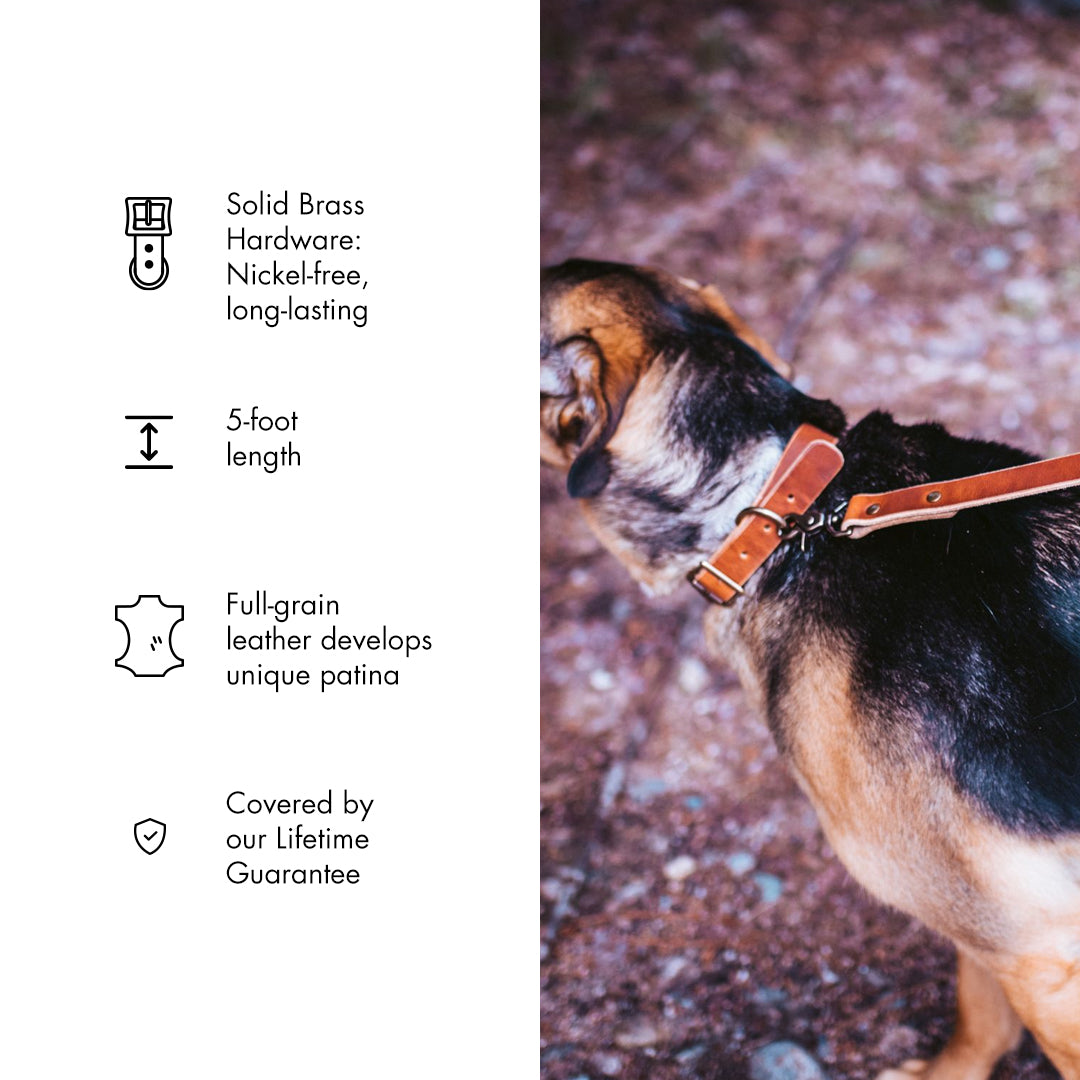 Premium Genuine Leather Dog Leash - Durable & Adjustable Pet Walking Lead for Small Medium Large Dogs - Perfect for Daily Walks, Training & Outdoor Adventures
