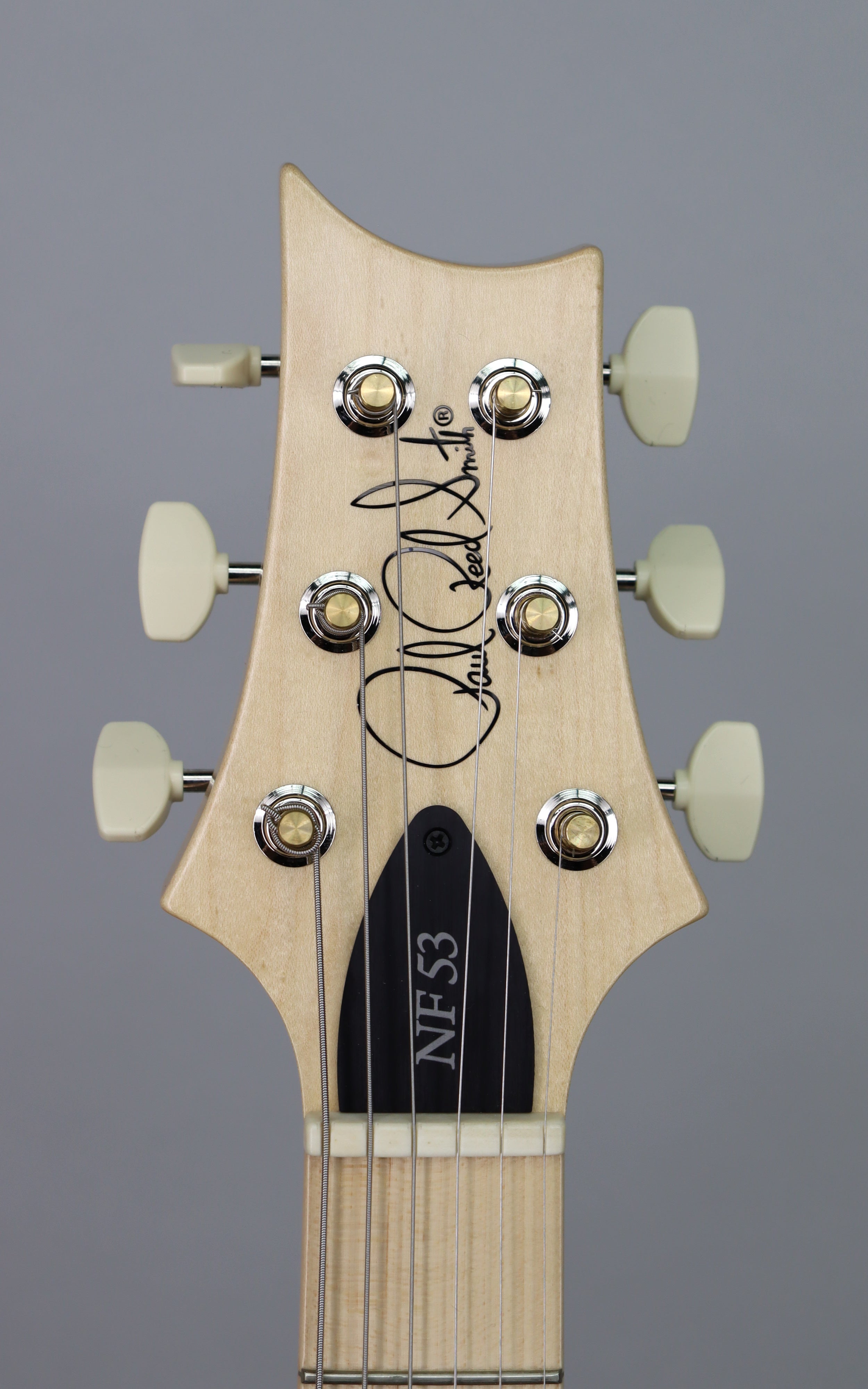 Paul Reed Smith NF 53 Electric Guitar - Black Dog Hair Finish | Premium Tone & Playability for Rock, Blues & Stage Performances