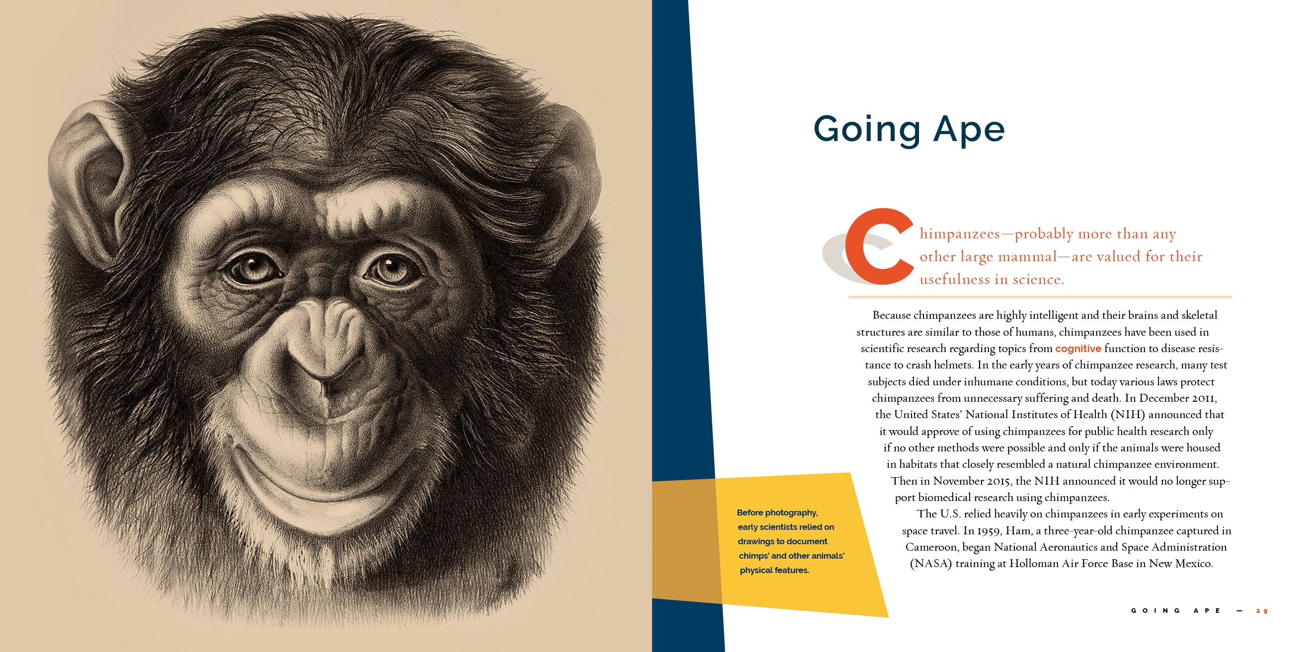 Chimpanzees Book 9781640267763 - Learn About Chimpanzee Behavior, Habitat & Conservation - Perfect for Animal Lovers & Science Enthusiasts