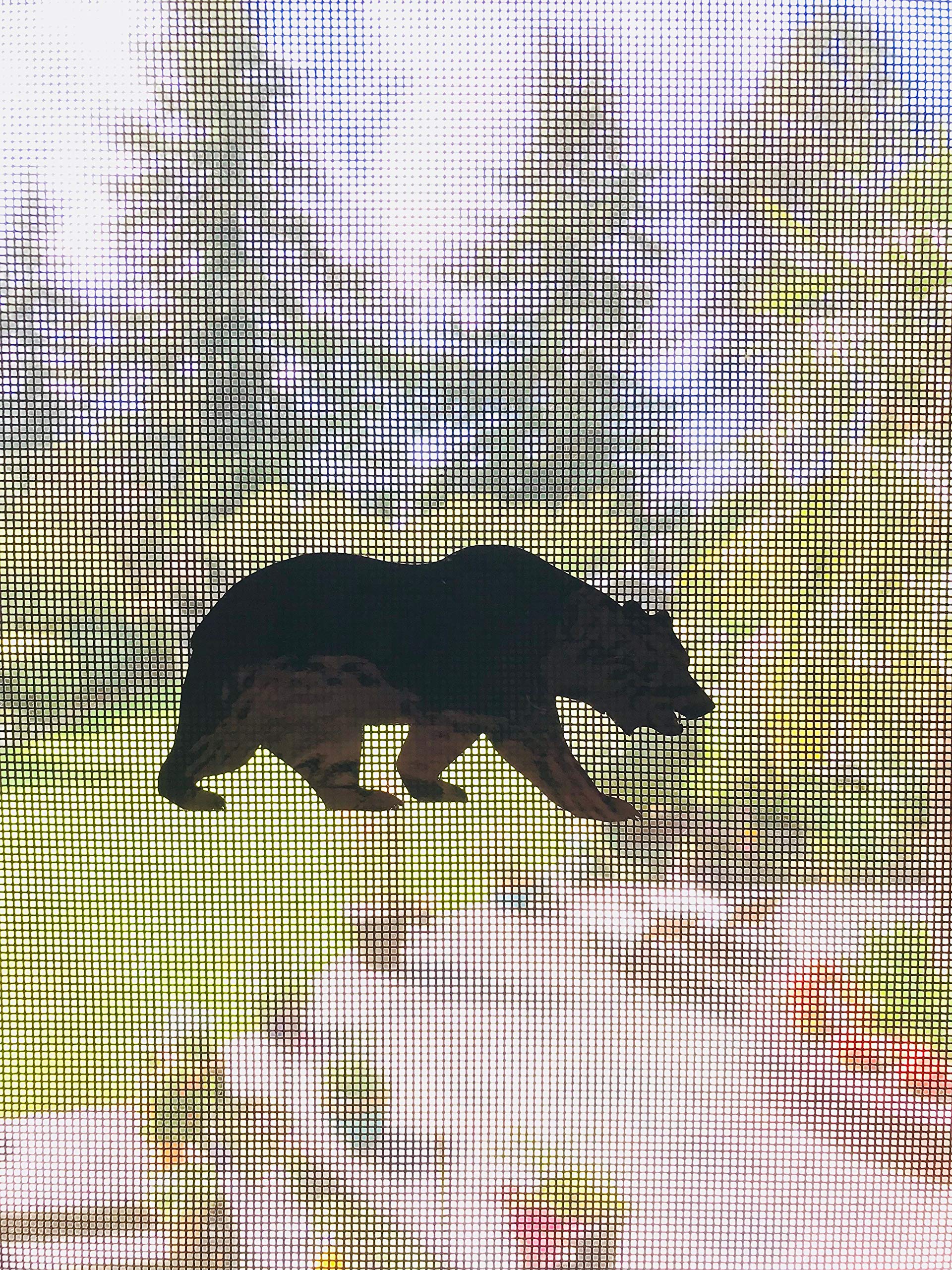 Retractable Screen Door Decors - 5-Pack Safety Decals for Windows & Doors - Child & Pet Protection - Bird Alert Stickers - Bear Design (Black) - Perfect for Homes, Schools & Daycares