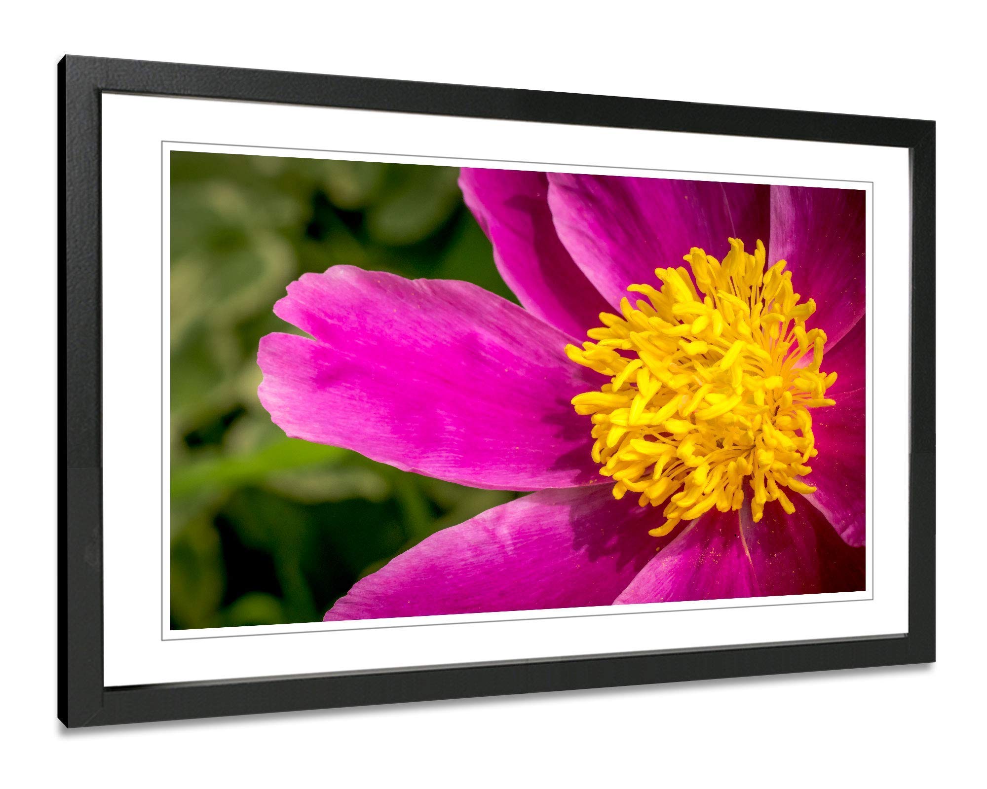Peony Flower Photography Print - Floral Framed Wall Art Decor for Living Room, Bedroom & Office - Nature Inspired Home Decor
