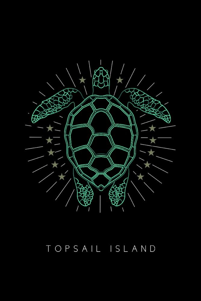 Topsail Island North Carolina Neon Turtle 85835 - 24x36 Signed Print Master Art Print - Coastal Wall Decor Poster for Beach House, Living Room & Office