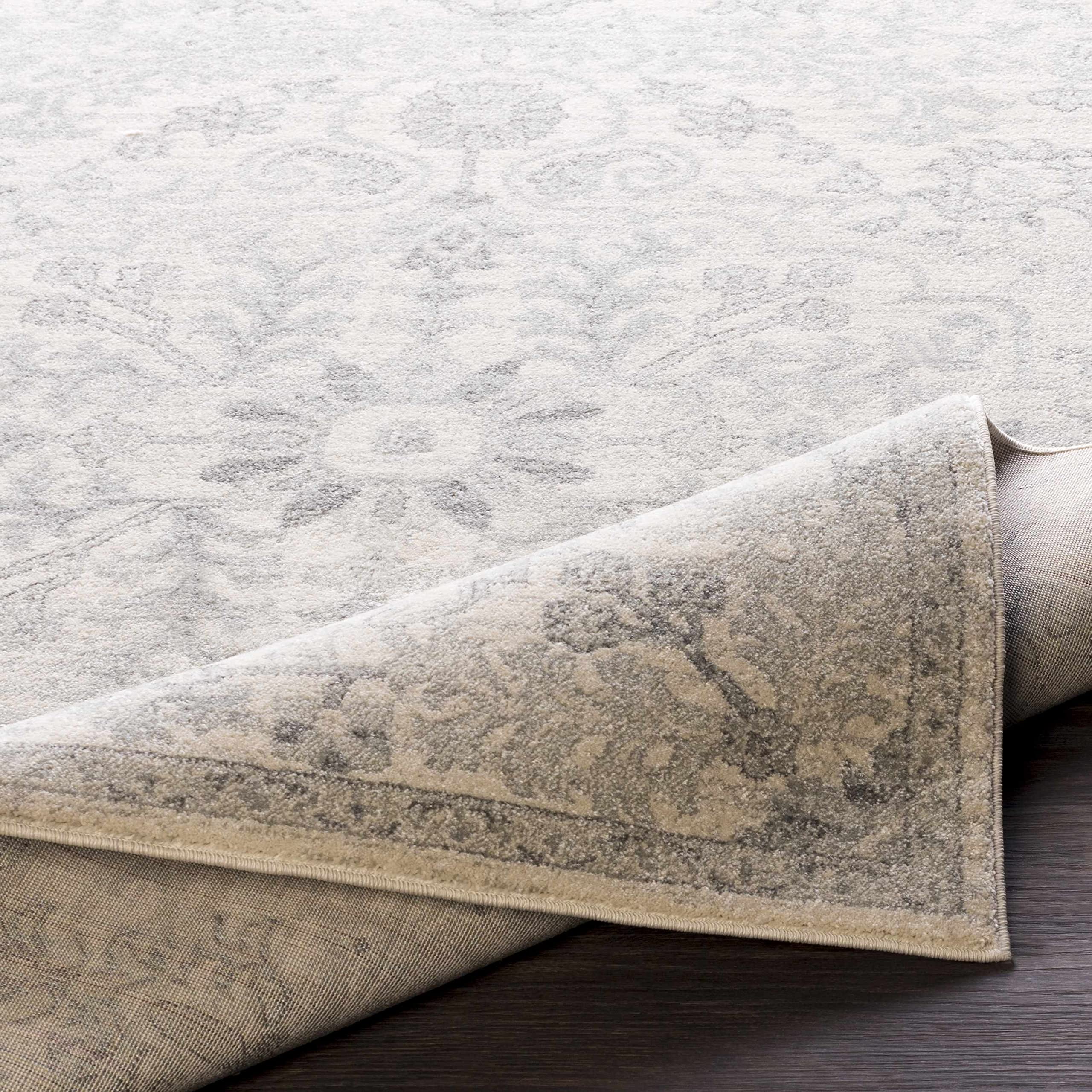Premium Hauteloom Borowski Traditional Area Rug - Soft Gray & Beige 2' x 3' - Perfect for Living Room & Bedroom Decor