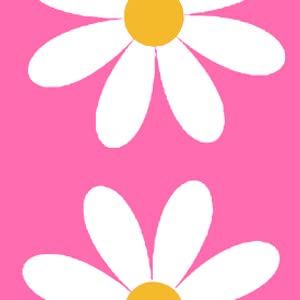 Pink Daisy