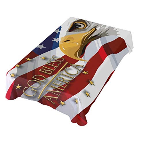 Y American Flag and Birds