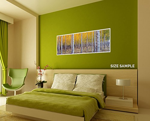 JP London PAN5010 uStrip Forest Sunrise Autumn Leaves High Resolution Peel & Stick Removable Wallpaper - 48