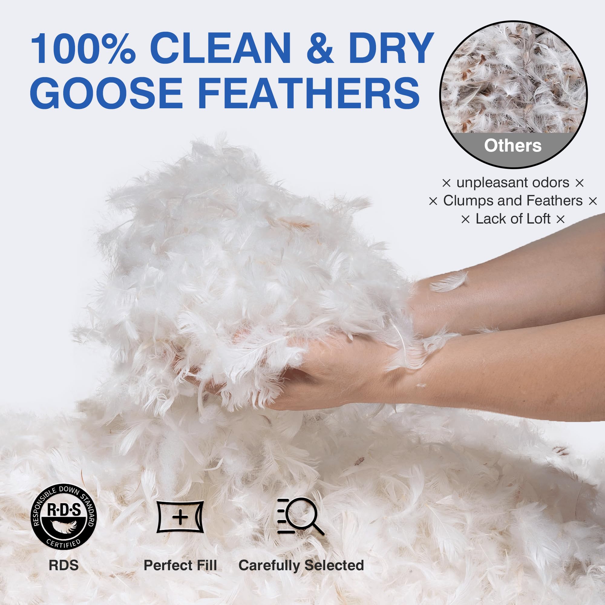 Premium Goose Feather Pillows Queen Size (Pack of 2) - Luxury Down Hotel Bed Pillows for Sleeping with 600 Thread Count Cotton Cover - Fluffy Support for Back, Stomach & Side Sleepers - Perfect for Home, Guest Room & Airbnb