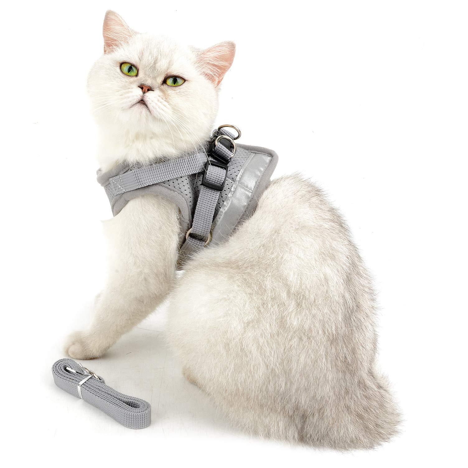 Ranphy Escape-Proof Reflective Cat Harness & Leash Set - Adjustable No-Pull Soft Mesh Vest for Small Dogs, Puppies & Kittens (Gray XS) - Perfect for Safe Outdoor Walks, Training & Nighttime Visibility