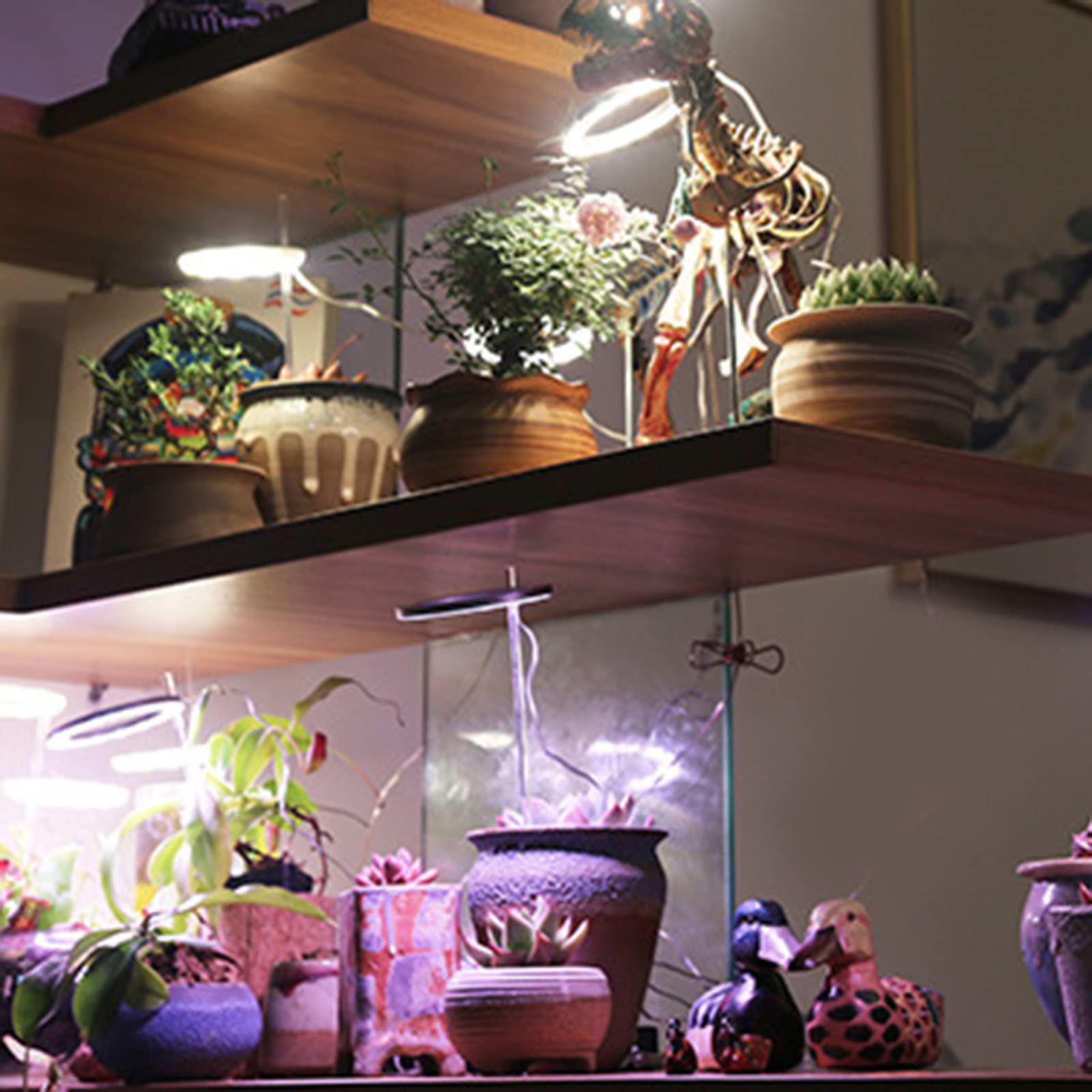 Yinuoday Full Spectrum LED Grow Light for Indoor Plants - Small Plant Growing Lamp with Ring Light for Succulents, Herbs & Seedlings - Perfect for Home Gardening, Hydroponics & Indoor Greenhouse Use