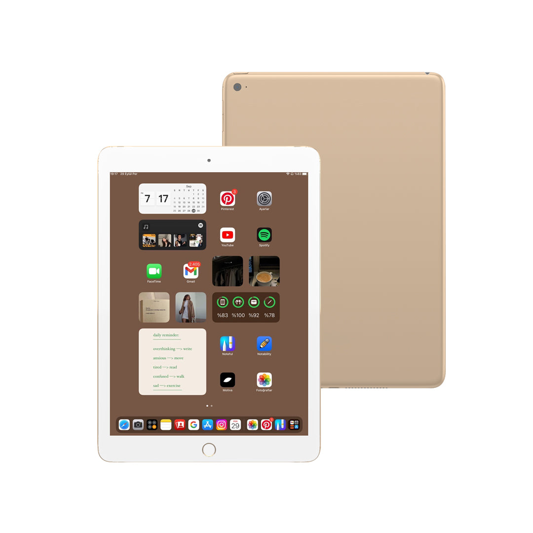Apple iPad Air 2 64GB WiFi + Cellular - 9.7-inch Retina Display, A8X Chip, 8MP Camera - Perfect for Work, Travel & Entertainment