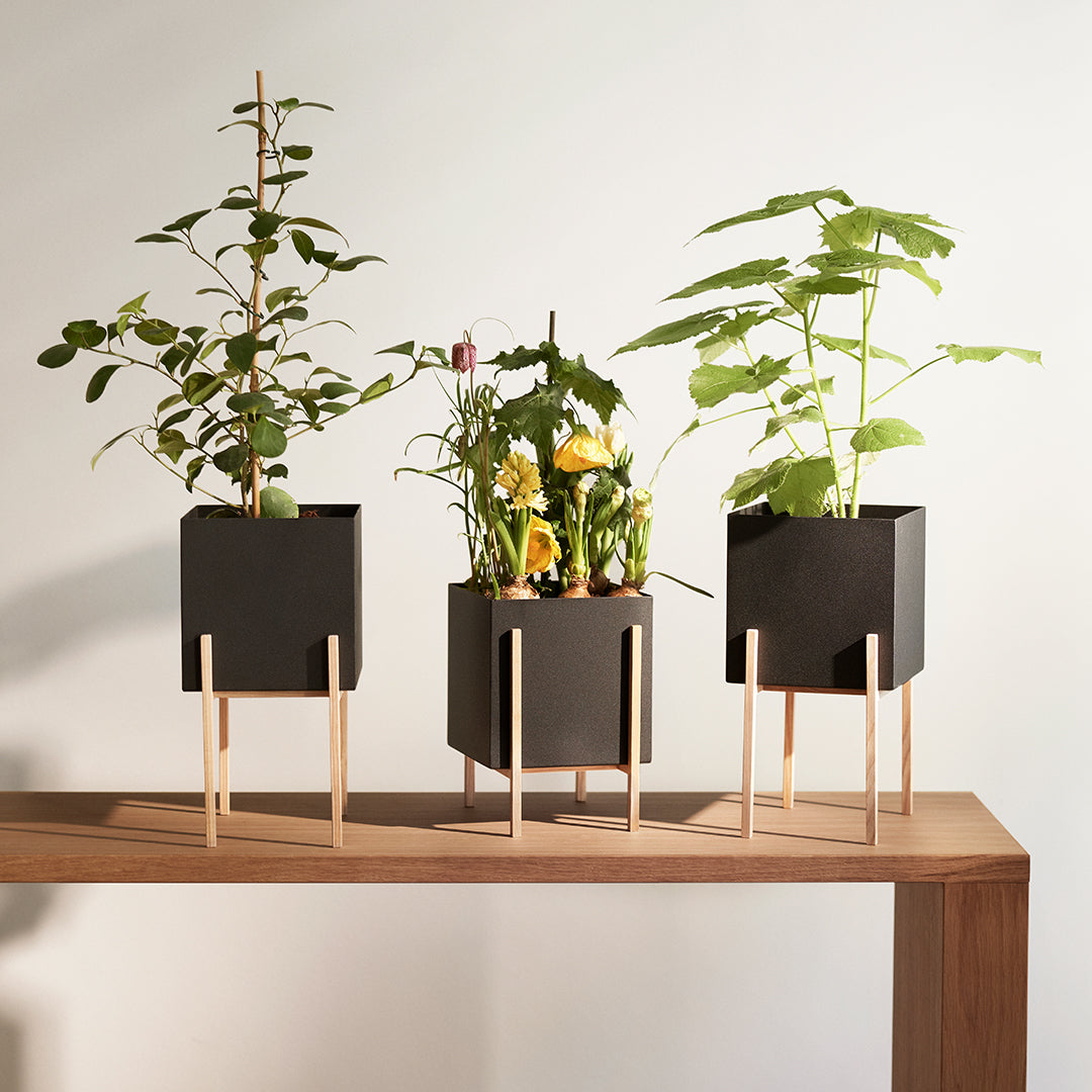 Atelier Botanic Pot Design House Stockholm - Handmade Ceramic Plant Pots for Home & Office Decor | Perfect for Indoor Plants, Succulents, and Herbs