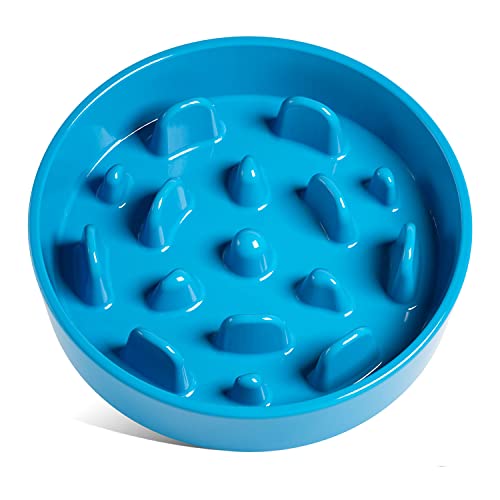 Vortex Blue