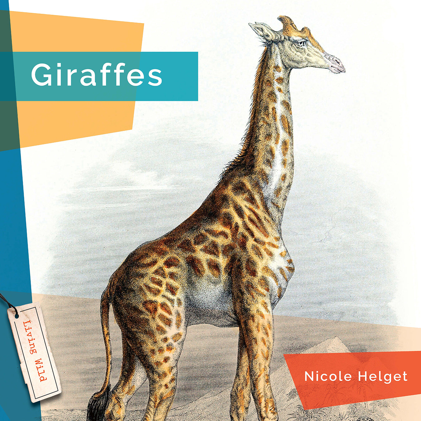 Giraffes Book - 9781640265998 - Wildlife Education & Animal Facts for Kids, Perfect for School Projects & Nature Lovers