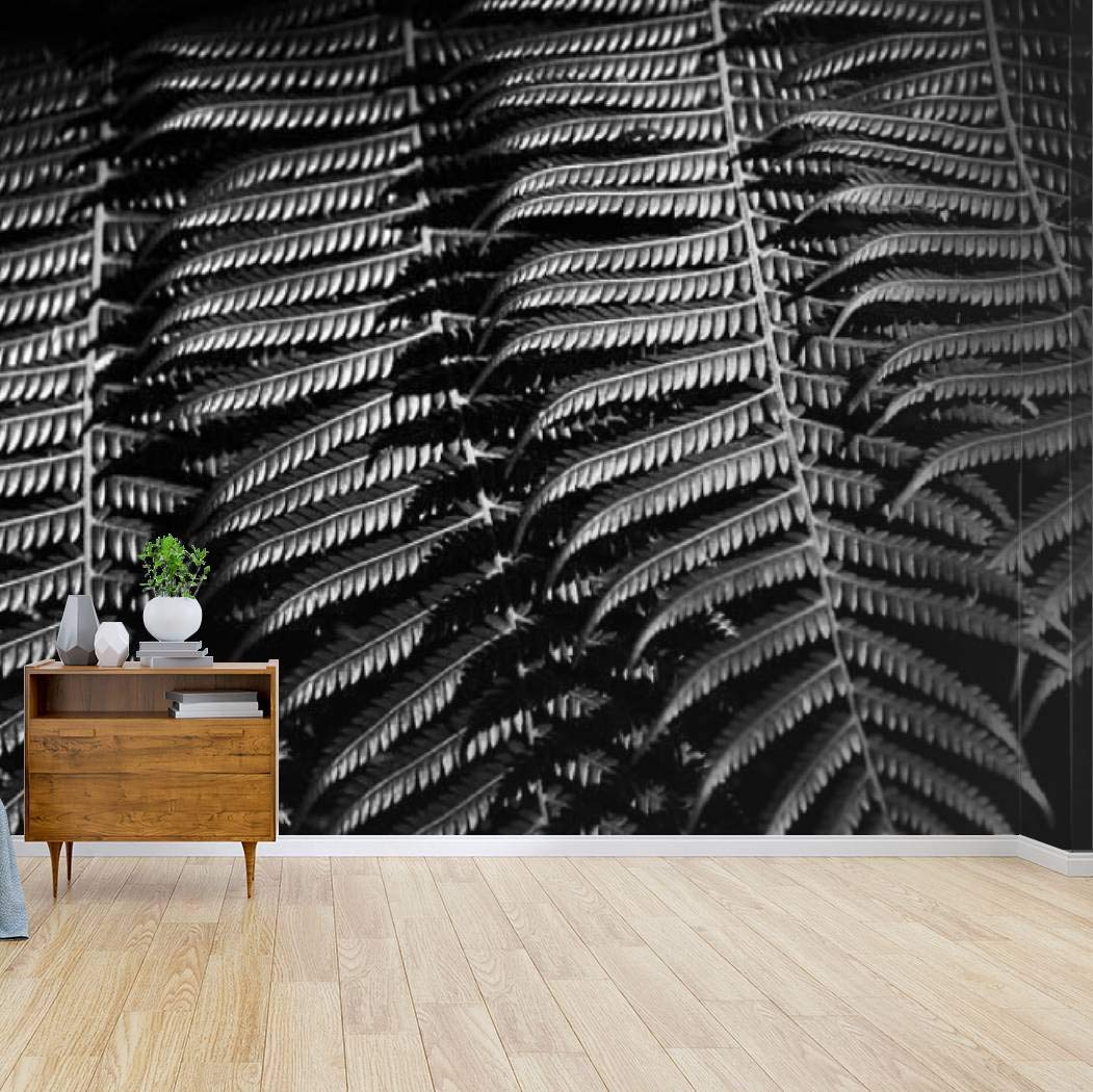 New Zealand Ponga Tree Fern Frond Black and White Peel & Stick Wallpaper - Self-Adhesive Removable Vinyl Wall Mural for Living Room, Bedroom, Office Decor | Large Wall Sticker, Shelf Paper, Home Decoration