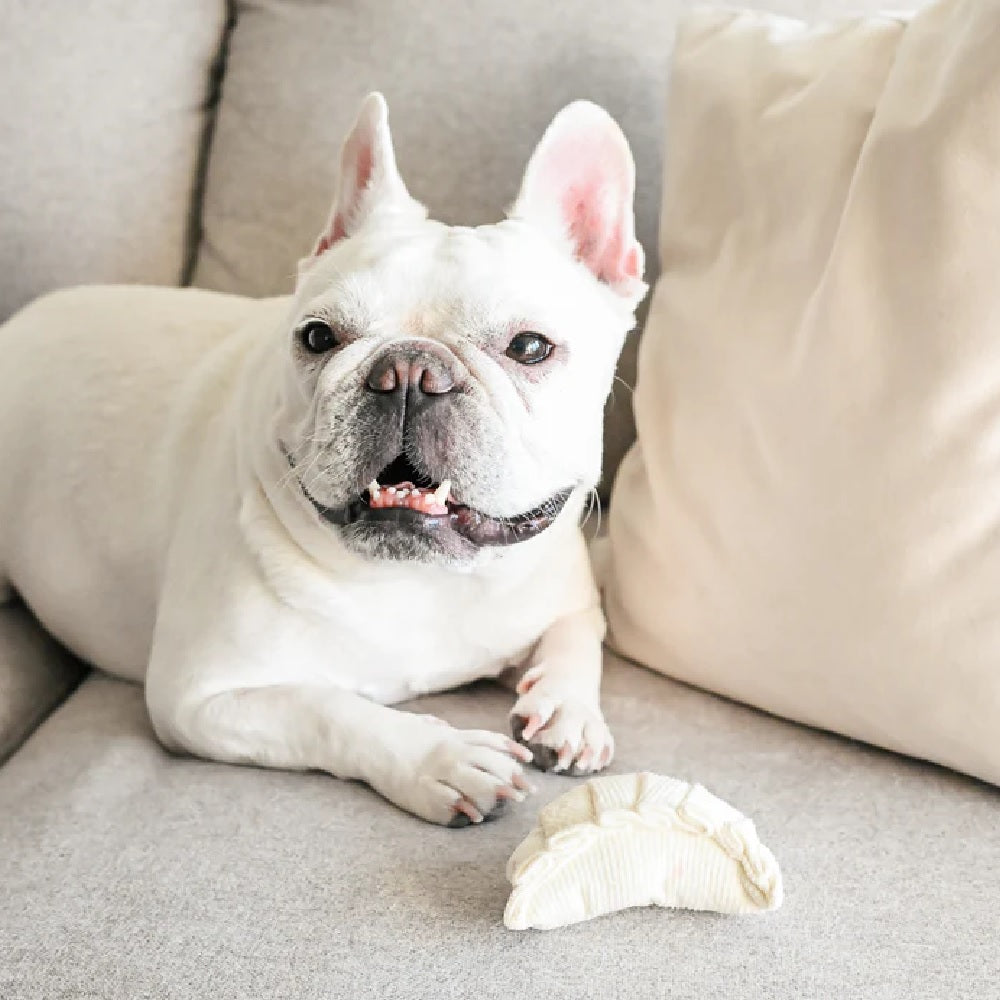 Dim Sum Pop Dog Toy Set of 2 Pieces - Chew Resistant Plush Dumpling & Bao Buns for Small & Medium Dogs - Perfect for Playtime, Training & Cute Photo Props