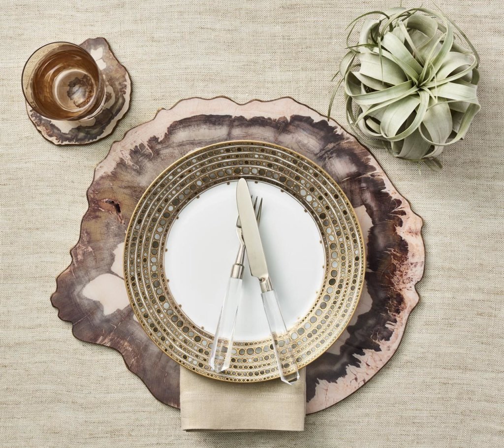 Natural Petrified Wood Drink Coasters Set of 4 - Brown Stone Coasters with Gift Box for Home Bar, Living Room & Office Decor