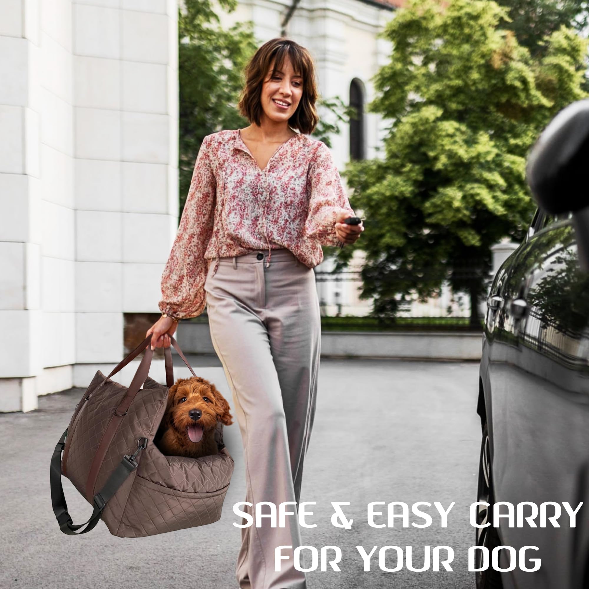 Black Swift Deluxe Dog Car Seat - 2-in-1 Booster & Bed for Small Dogs | Travel & Home Use