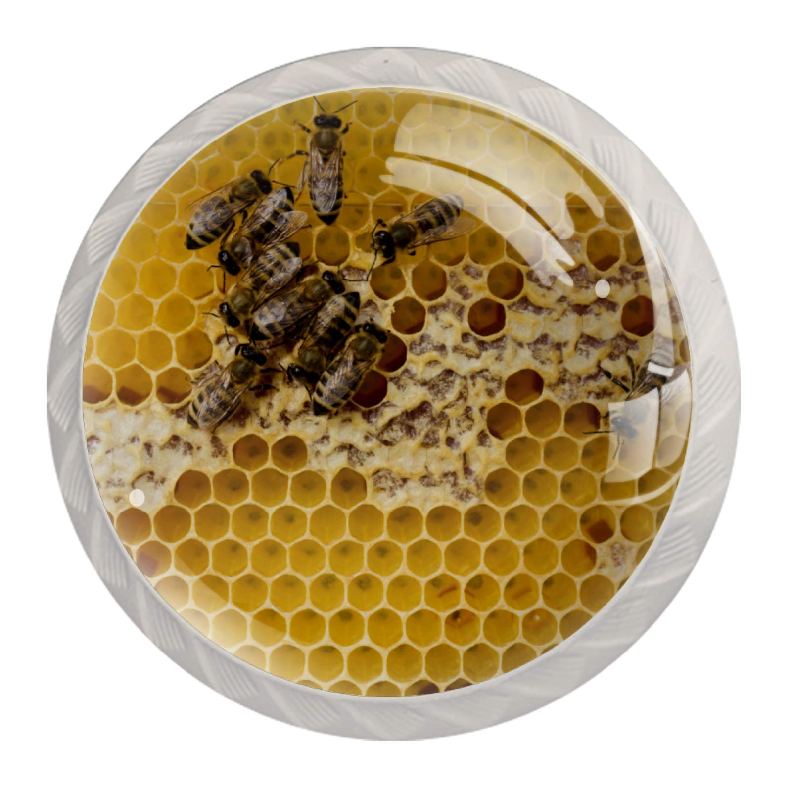 Honeycomb Bees Yellow Cabinet Knobs - Set of 4 (1.18